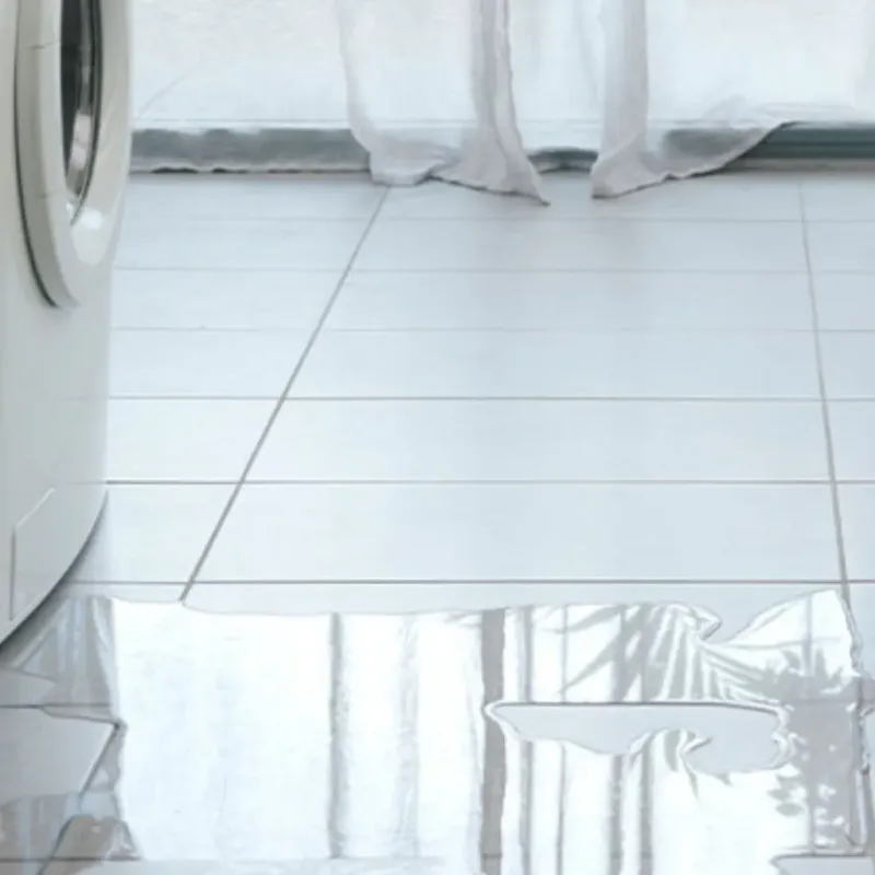 Appliance Leak Cleanup in South Paris, ME