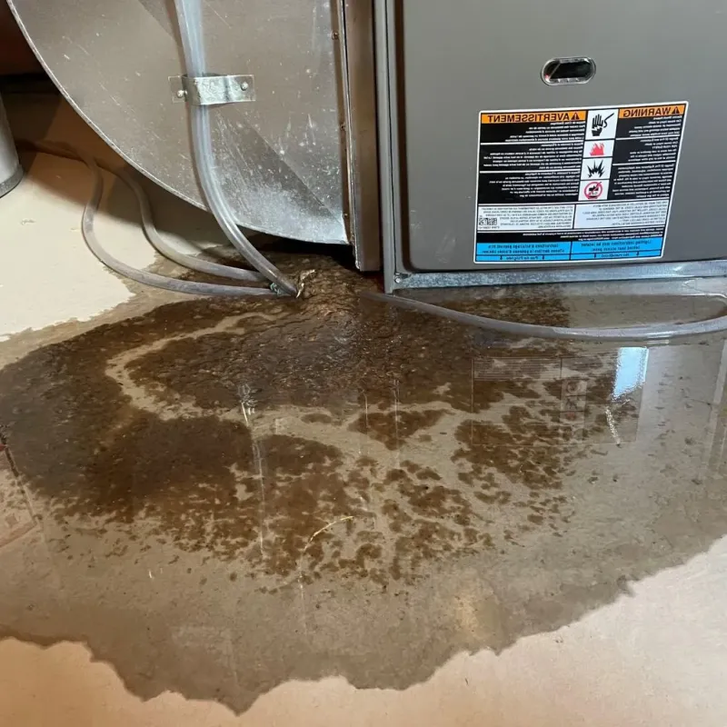 Pipe Burst and Leak Restoration in South Paris, ME