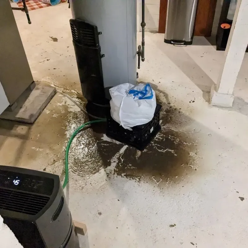 Sewage Backup Cleanup Service in South Paris, ME